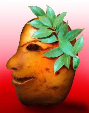 госпожа картошка